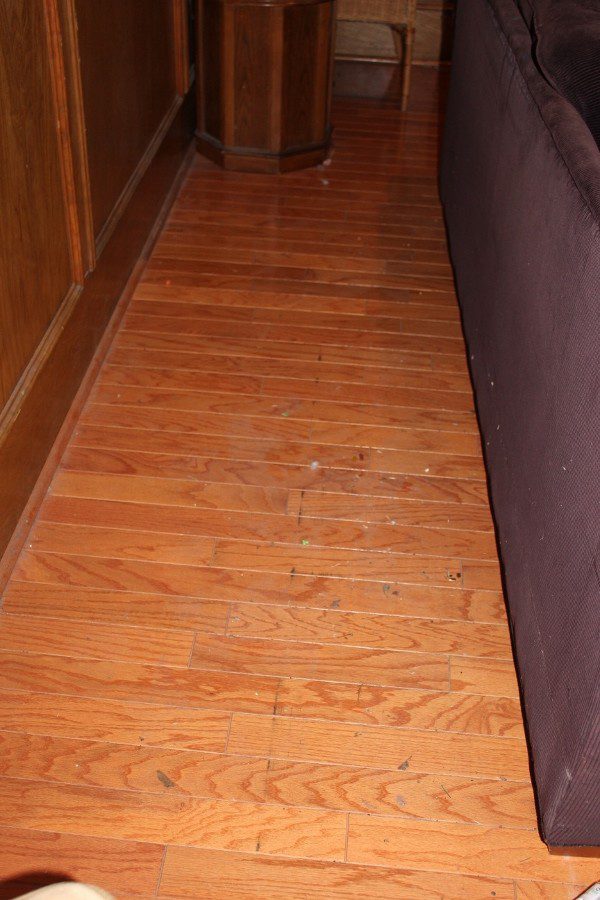 Dirty Floor under the couch