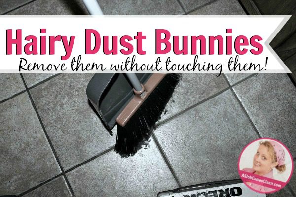 How to Remove Hairy, Scary Dust Bunnies Without Touching Them at ASlobComesClean.com title