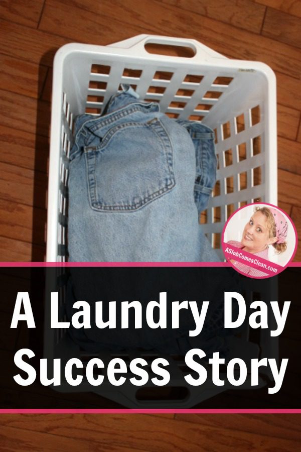 Laundry Day Success Story from One of Our Readers at ASlobComesClean.com