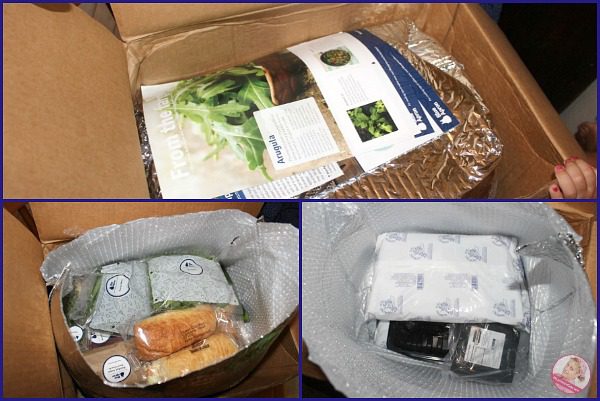 Blue Apron Unpacking the Box at ASlobComesClean.com