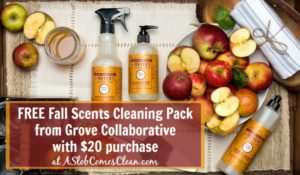 limited-time-get-a-mrs-meyers-fall-scents-cleaning-set-free-with-a-20-purchase