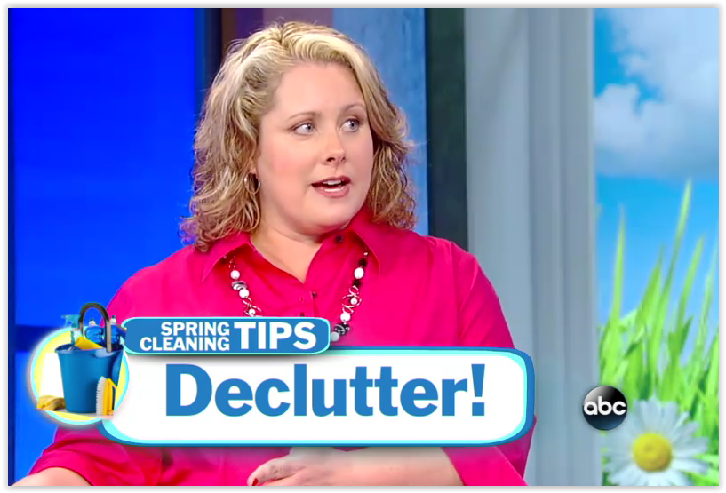 Spring Cleaning Tips on ABC news at ASlobComesClean.com