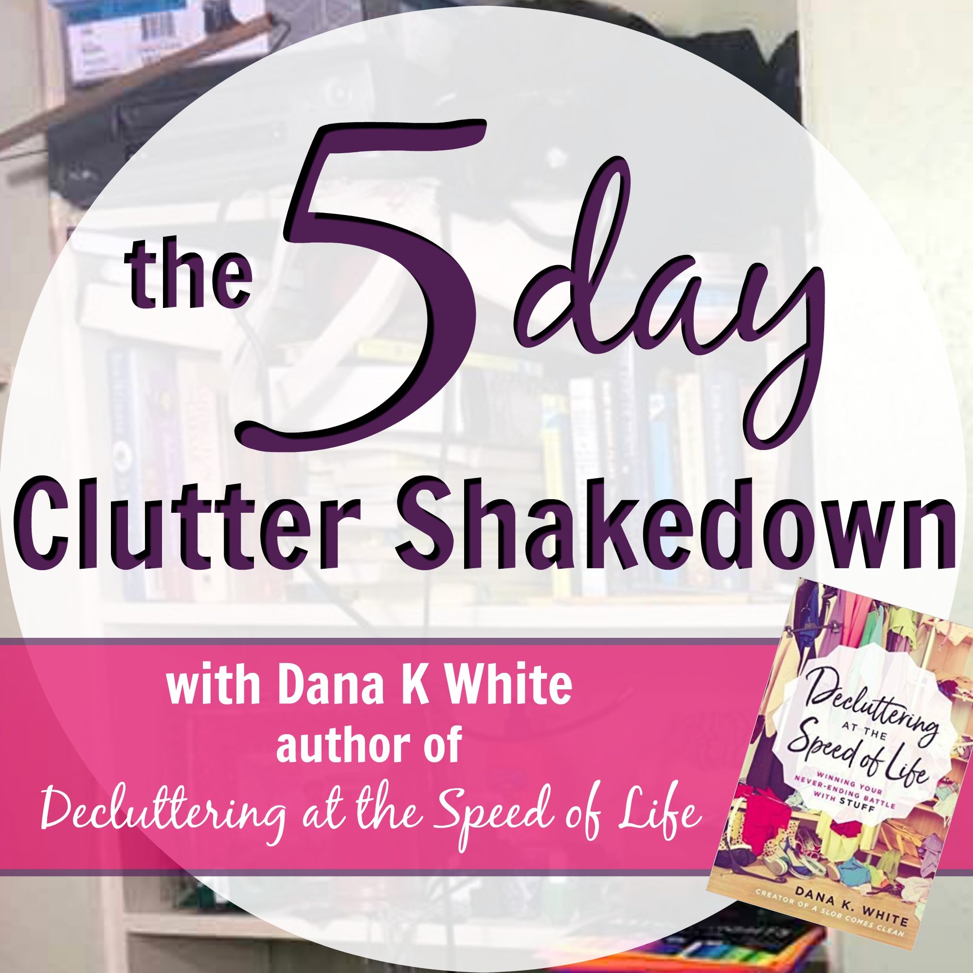 Want to see the principles in action? Check out my video course: The 5 Day Clutter Shakedown.