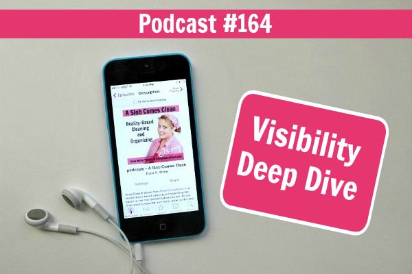 Podcast 164 Visibility Deep Dive at ASlobComesClean.com fb