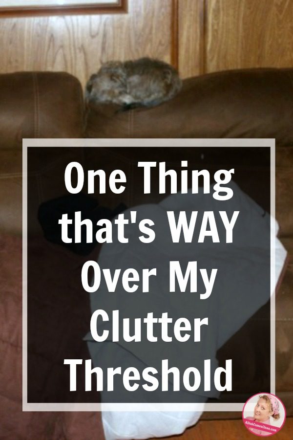 One_Thing_that_is_WAY_Ove_My_Clutter_Threshold - Dana K. White: A Slob ...