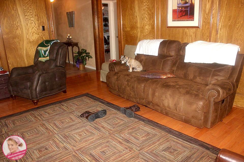Scruffy on the couch at ASlobComesClean.com