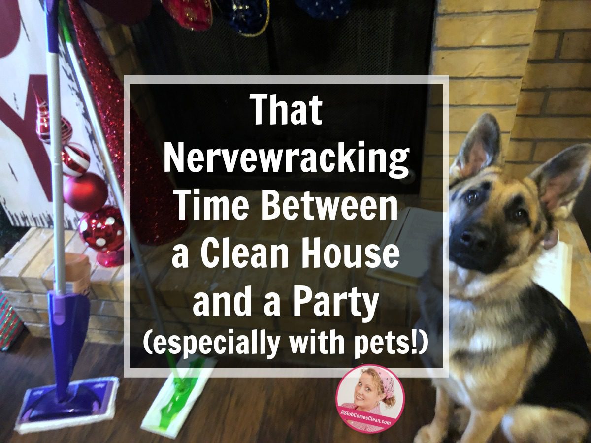 That Nervewracking Time Between a Clean House and a Party especially with pets at ASlobComesClean.com