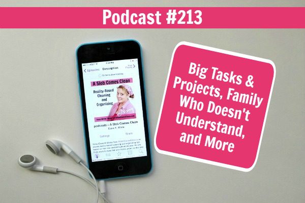 podcast 213 Big Tasks & Projects, Family Who Doesn't Understand, and More at ASlobComesClean.com fb