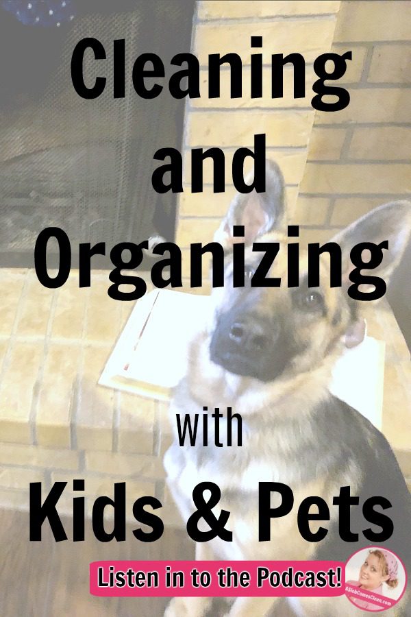 How to Clean and Organize with Kids Babies Pets podcast 227 at ASlobComesClean.com