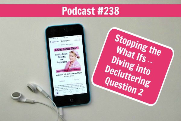 podcast-238-stopping-the-what-ifs-dive-into-decluttering-question-2-at-aslobcomesclean.com