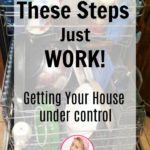 Simple Steps that Work to Get Your House Under Control at ASlobComesClean.com