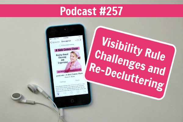 podcast 257 Visibility Rule Challenges and Re-Decluttering at ASlobComesClean.com