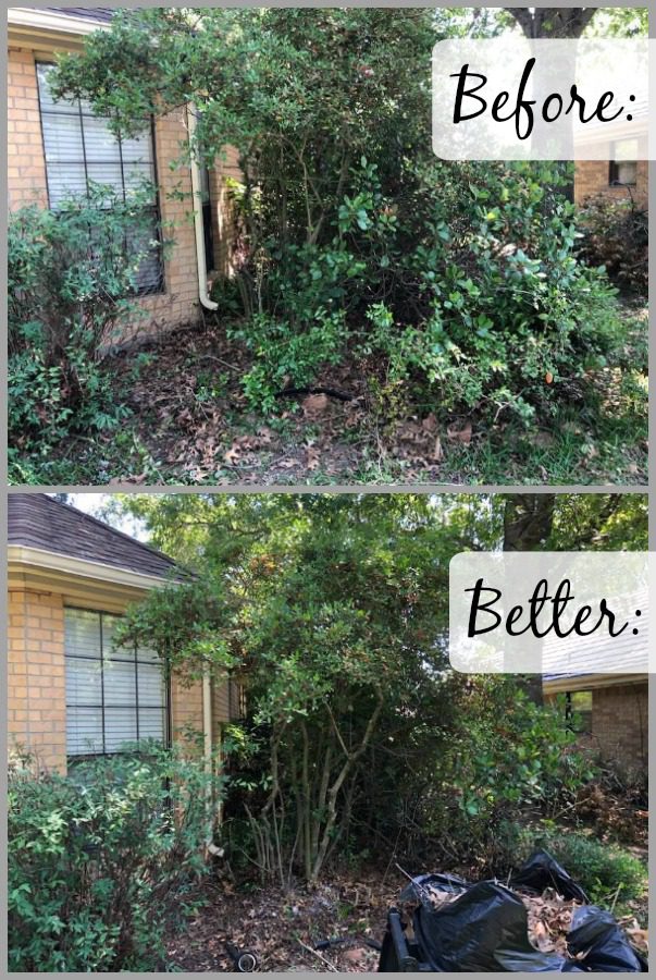 take a before photo when decluttering spring clean yard at ASlobComesClean