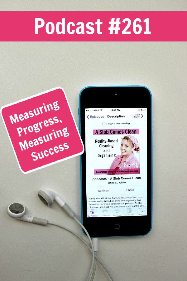 Measuring progress measuring success podcast 261 at ASlobComesClean.com