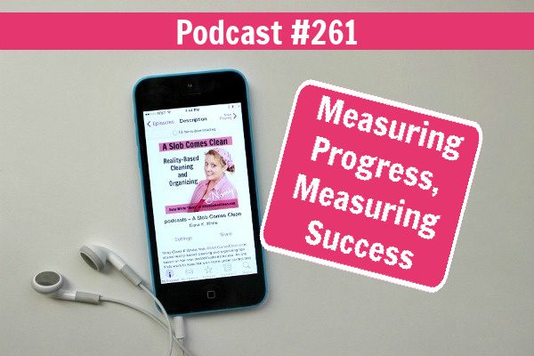 podcast 261 Measuring Progress, Measuring Success at ASlobComesClean.com