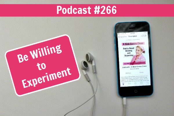 Be Willing to Experiment podcast 266 at aslobcomesclean.com