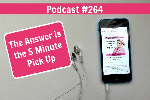 podcast 264 the answer is the 5 minute pick up at aslobcomesclean.com