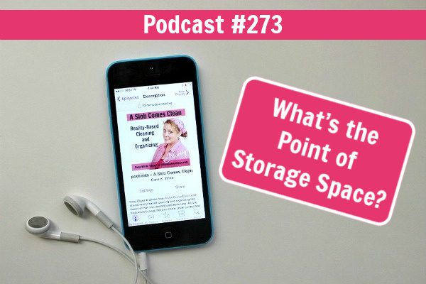What’s the Point of Storage Space podcast 273 at ASlobComesClean.com