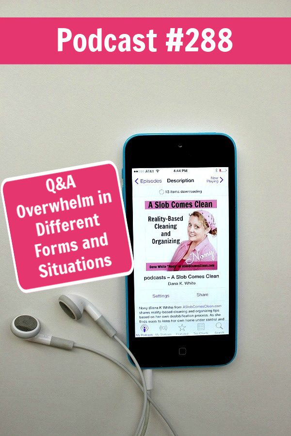 Q&A Overwhelm in Different Forms and Situations podcast 288 at aslobcomesclean.com