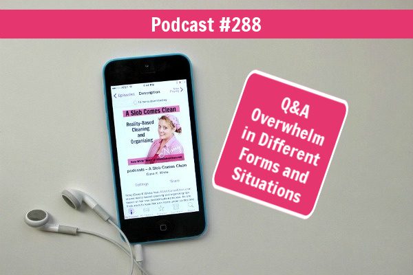 podcast 288 Q&A Overwhelm in Different Forms and Situations at aslobcomesclean.com