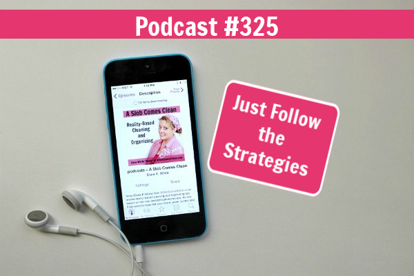 Just Follow the Strategies podcast 325 at aslobcomesclean.com