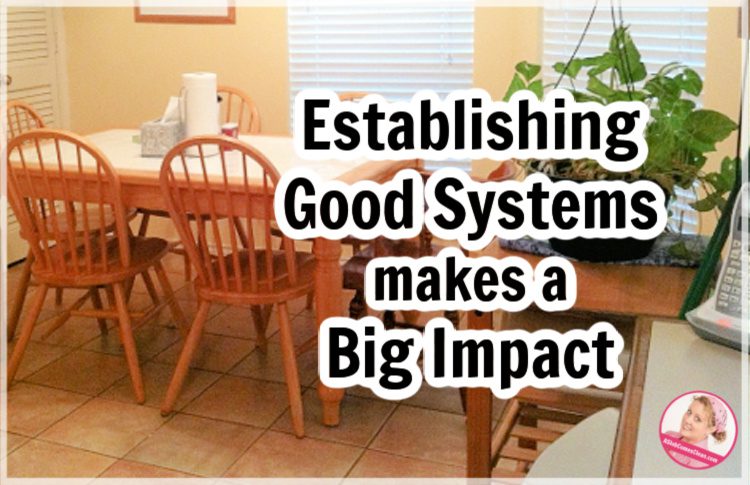 Establishing Good Systems makes a Big Impact at aslobcomesclean.com