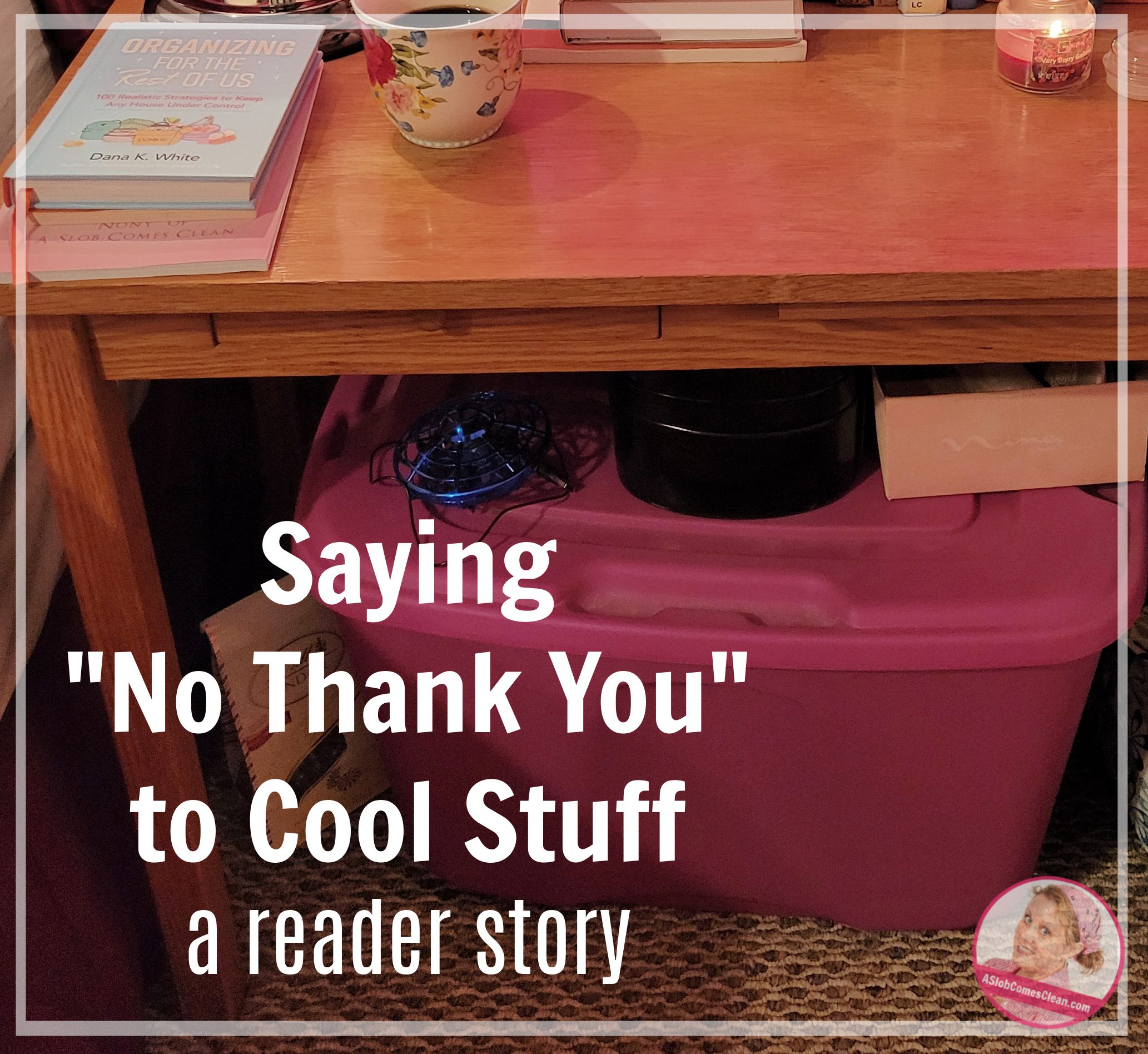 saying no to cool stuff a readers story at aslobcomesclean.com
