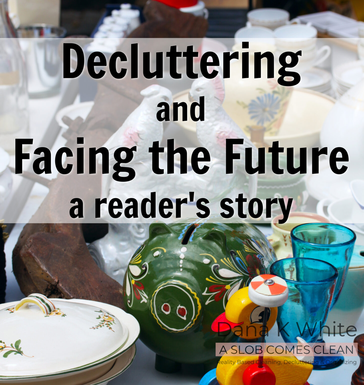 ready to face future decluttering collections five step method reader story at aslobcomesclean.com